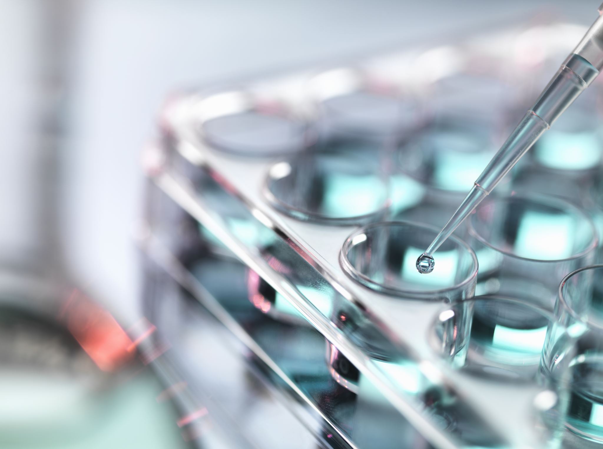 Laboratory equipment setup